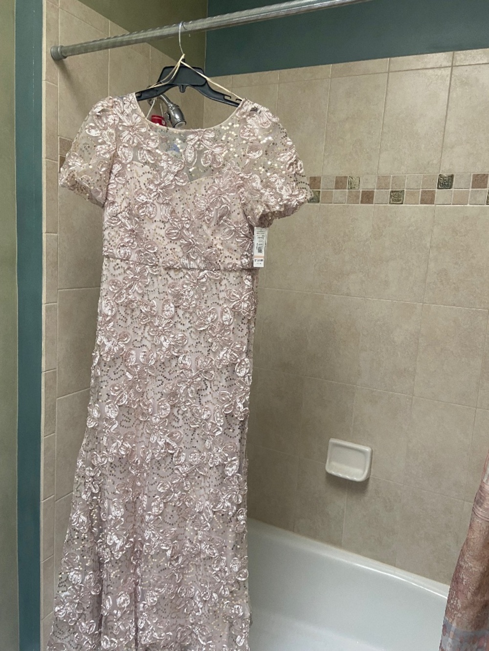 R&M Richard’s long Soutache lace dress size 12 color champagne